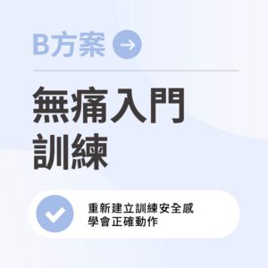 B方案：無痛入門訓練 - 8週減少痠痛有感計畫