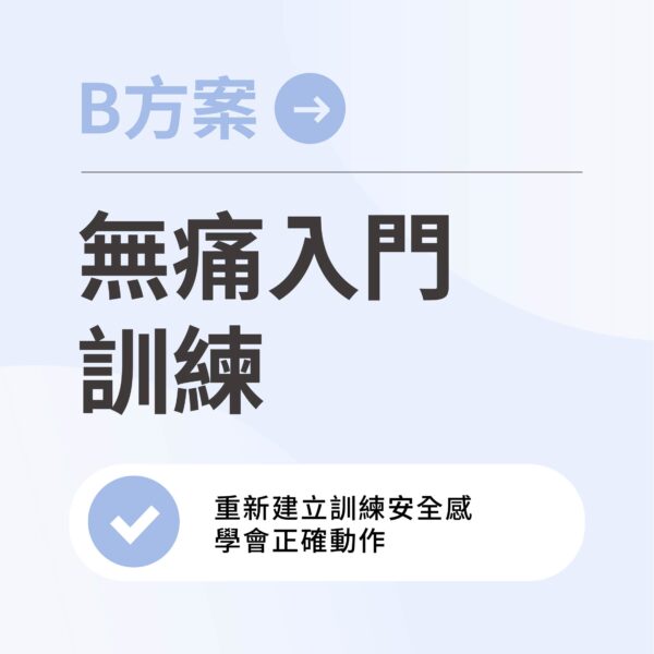 B方案：無痛入門訓練 - 8週減少痠痛有感計畫